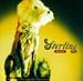 Sterling - Monster Lingo (CD)