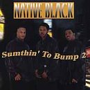 Native Black - Sumthin' to Bump 2 (CD)