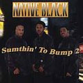 Native Black - Sumthin' to Bump 2 (CD)