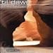 Til Dawn: Chapter 1 (CD)