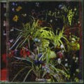 Banyan - Banyan (CD)