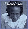 Kimani Wilson - Afro Kozmik Soul (CD)