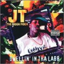 Get Low Playaz - Dwellin' In the Labb (CD)