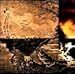 Polar Goldie Cats - Polar Night Stress (CD)