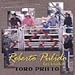 Roberto Pulido Y Los Clasicos - Toro Prieto (CD)