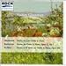 Gluzman - Hindemith: Sonata In E / Beethoven : Sonata,Op.12 / Brahms: Sonata, Op.108 (Koch) (CD)