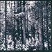 Sombrous - Transcending the Umbra (CD)