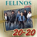 Felinos - 20-20 Exitos (CD)