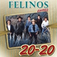 Felinos - 20-20 Exitos (CD)