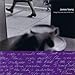 James Young - Songs they never play on the radio (CD)
