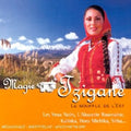 Allami Nepi Egyuttes Zenekara - Magie Tzigane (CD)