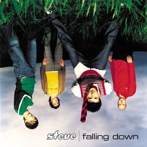 Steve - Falling Down (CD)