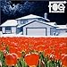 Fog - Fog (CD)