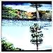 Burnside Project - The Networks, The Circuits, The Streams (CD)