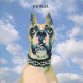 Thrillcat - Oneword (CD)