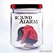 Sound The Alarm - Stay Inside (CD)