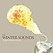 The Winter Sounds - Porcelain Empire (CD)