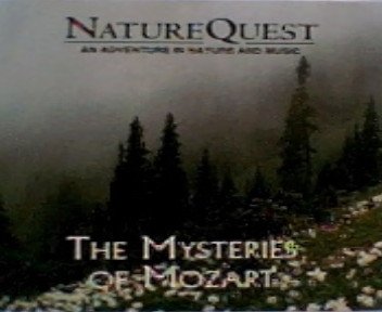 Wolfgang Amadeus Mozart - The Mysteries of Mozart (CD)