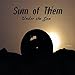 Sum of Them - Under the Sun (CD)