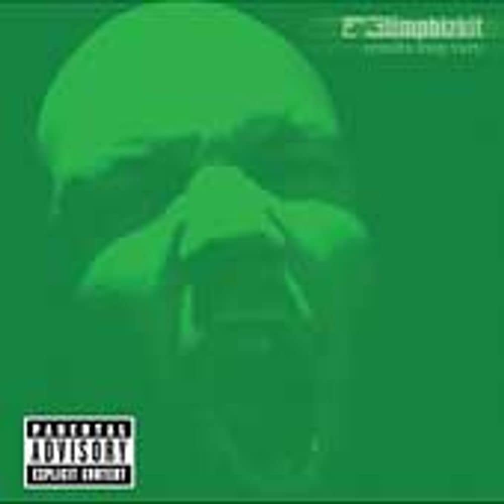 Limp Bizkit - Results May Vary (CD)