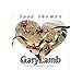 Gary Lamb - Love Themes (CD)