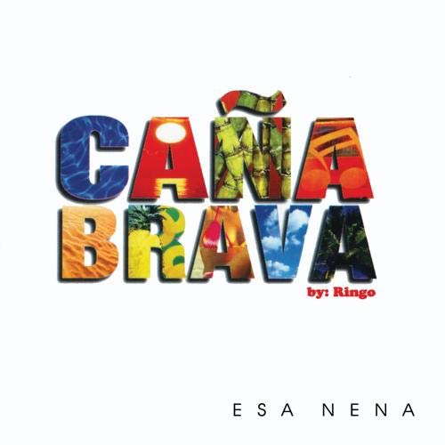 D.J. Gero / El Panameno - Esa Nena (CD)