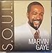 Marvin Gaye - S.O.U.L.: Marvin Gaye (CD)
