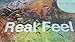 The Holidays - Real Feel (CD)