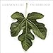 Caedmon's Call - Over Dressed (CD)