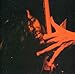 Wild T & The Spirit - Givin' Blood (CD)