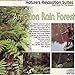 Klaus Back & Tini Beier - Nature's Relaxation Suites: Amazon Rain Forest (CD)