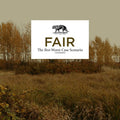 Fair - The Best Worst-Case Scenario (CD)
