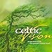 Pamet River Band - Celtic Vision (CD)