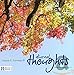 Francis E. Fairman III - Diurnal Thoughts (CD)