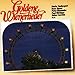 Various - Goldene Wienerlieder (CD)