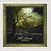 Full Turnout - Adversity (CD)