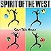 Spirit Of The West - Save This House (CD)