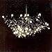 Retina.it - Semeion (CD)