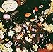 Infinite Livez / Stade - Art Brut Fe De Yoot (CD)
