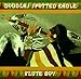Douglas Spotted Eagle - Flute Boy (CD)