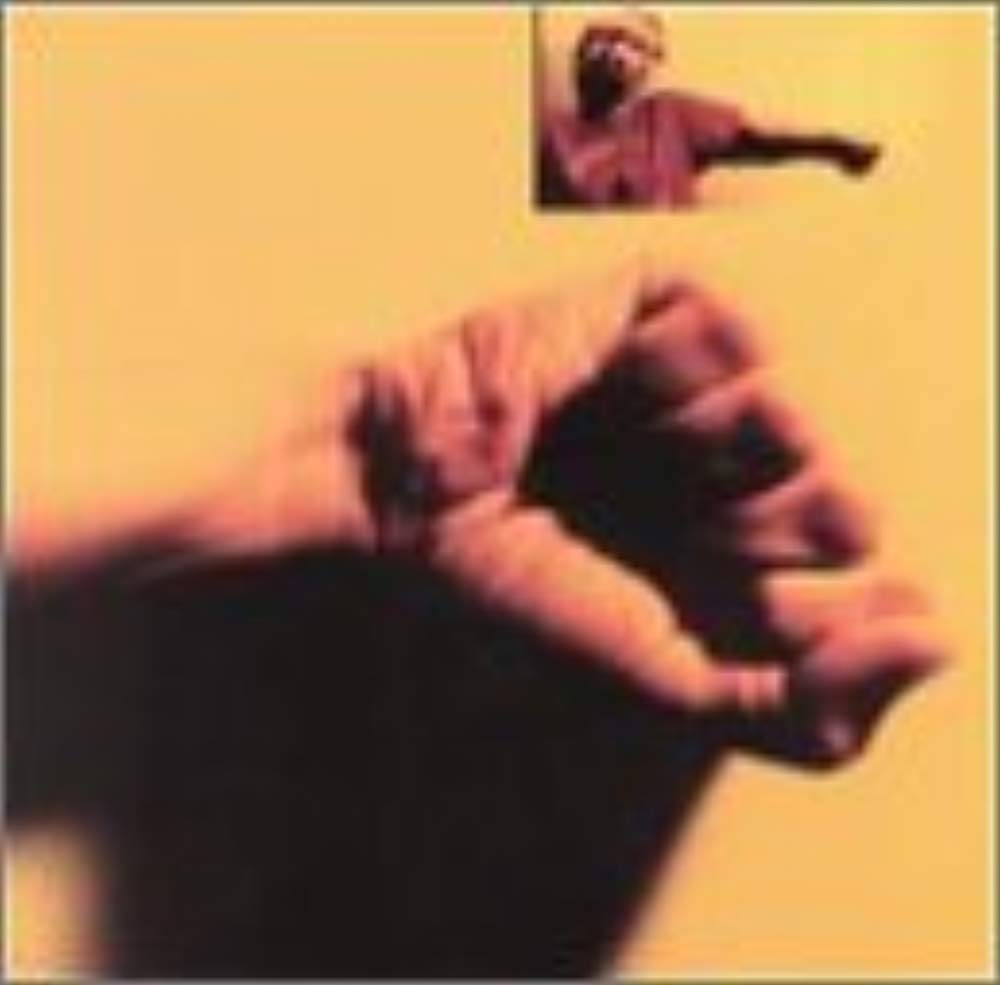 Kip Hanrahan - Shadow Nights 2 (CD)