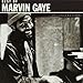 Marvin Gaye - Collections (CD)