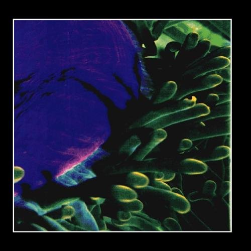 Sordid Humor - Light Music for Dying People (CD)