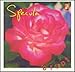 Specula - Erupt (CD)