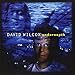 David Wilcox - Underneath (CD)