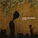 Liars Academy - Demons (CD)