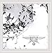Transit Belle - Dead On a Vine (CD)