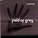 Field Of Grey - Warning (CD)