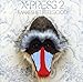 X-Press 2 - Makeshift Feelgood (CD)