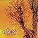 Good Question - Safety Shackles (CD)